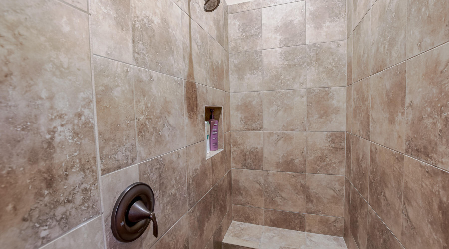 Lower Level Owners Shower