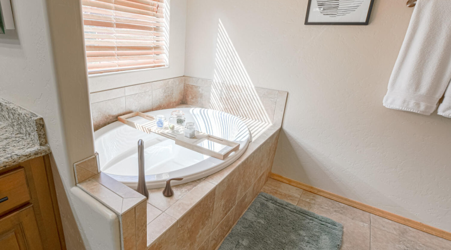 Lower Level Owners Bath