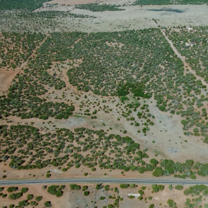 Agricultural Land