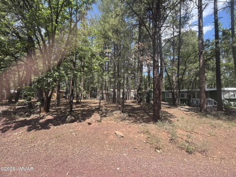 4222 Moon Court, Pinetop, Arizona 85935, ,Land,For Sale,Moon,258277