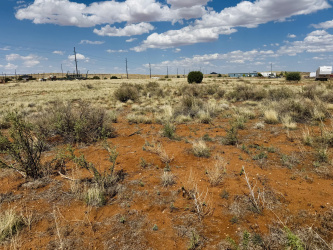 5570 Diana Drive, Snowflake, Arizona 85937, ,Land,For Sale,Diana,92985