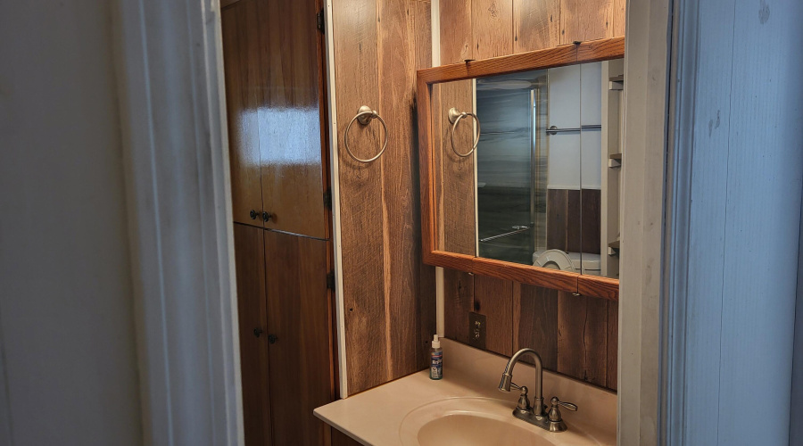 95 main Bthrm lkg in