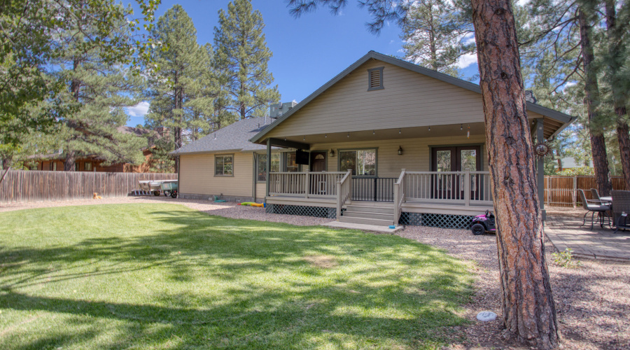 Paxmanphoto_PAX_2987