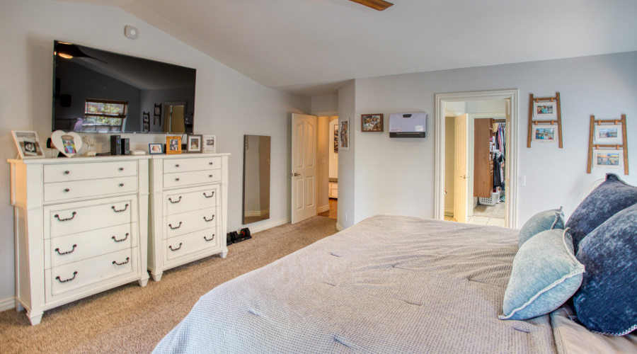 Paxmanphoto_PAX_2915