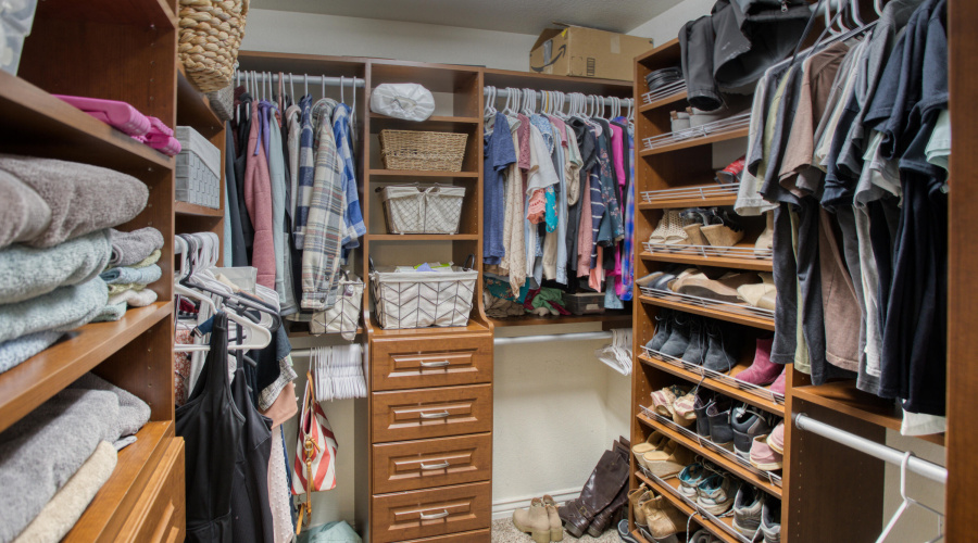 Paxmanphoto_PAX_2924