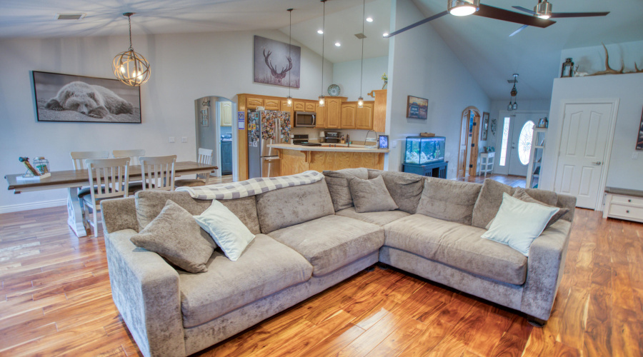 Paxmanphoto_PAX_2939