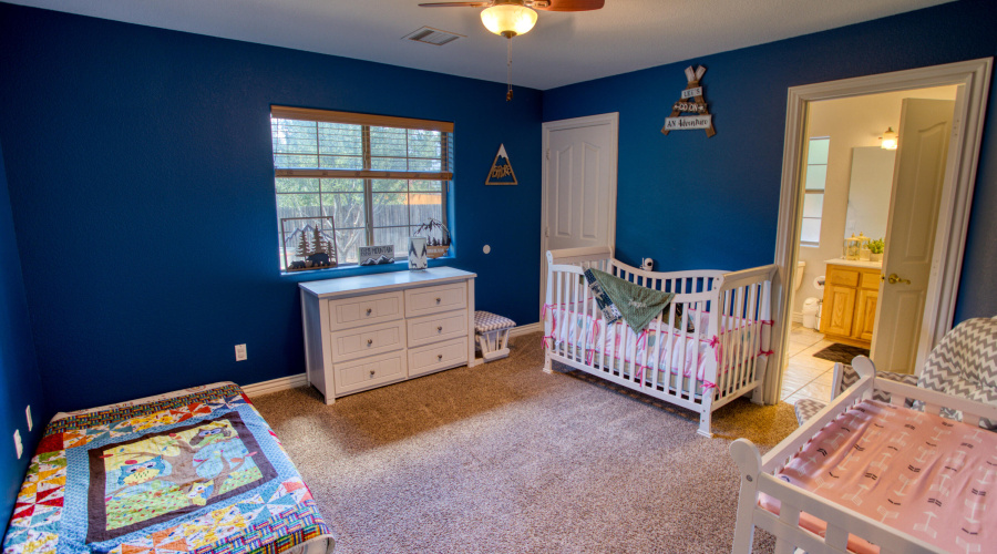 Paxmanphoto_PAX_2972