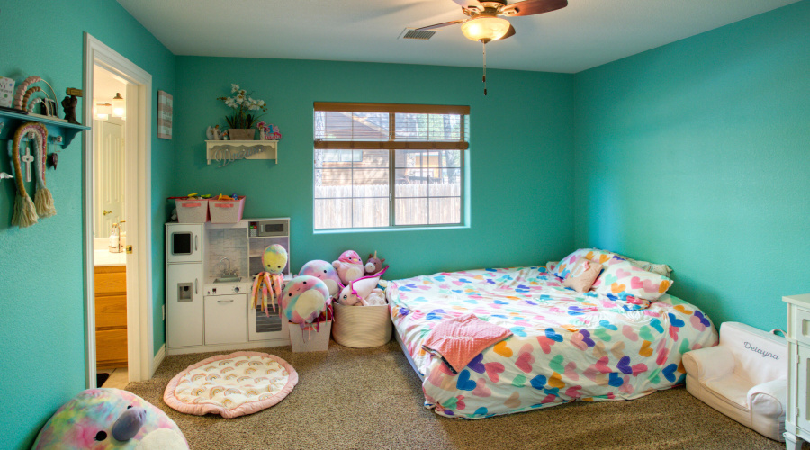 Paxmanphoto_PAX_2981