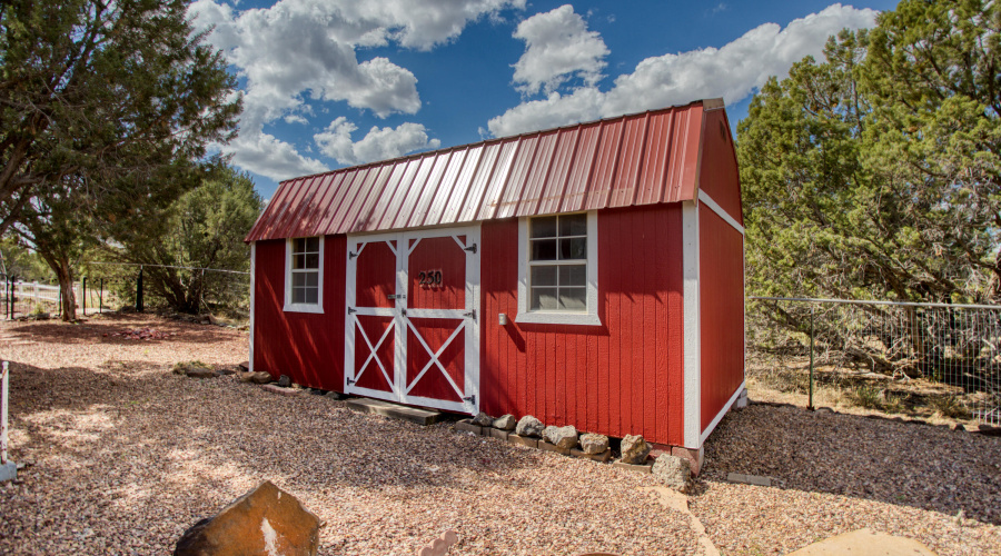 Paxmanphoto_PAX_5332