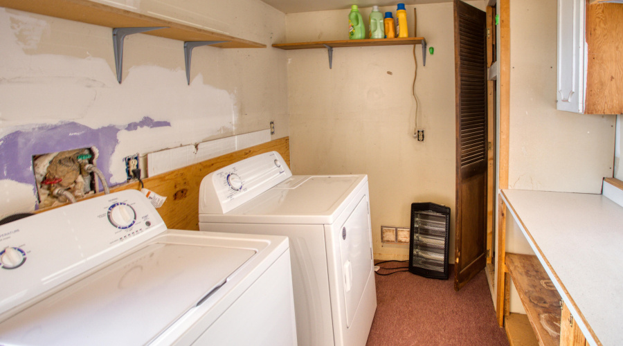 Paxmanphoto_PAX_5323