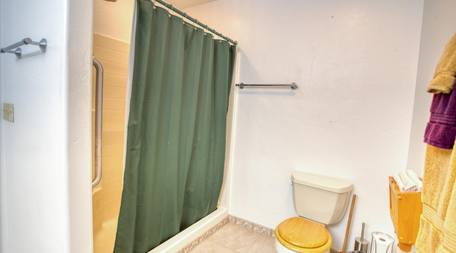 015_Main suite bathroom