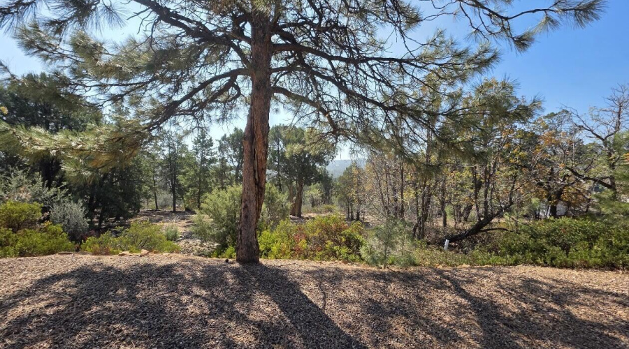 038_View from Front Entry