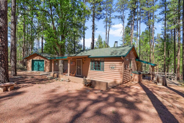 287 Lookout Trail, Payson, Arizona 85541, Bedrooms, ,Residential,For Sale,Lookout,92987