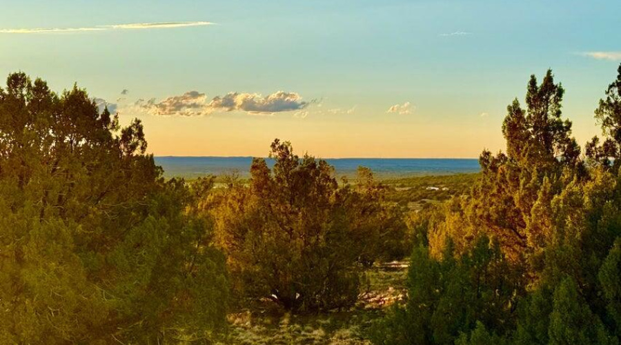 20250924032547606759000000-o (1)