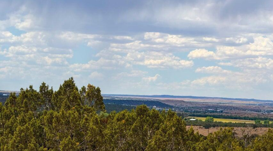 20250829012340329391000000-o (3)