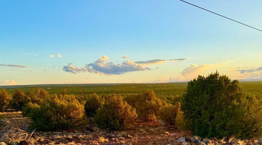 20250924032722764760000000-o (1)