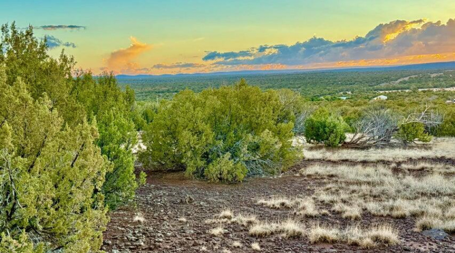 20250924025314605263000000-o (1)