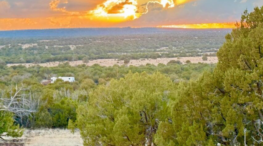 20250924025946758426000000-o (1)