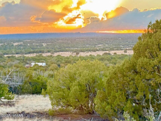 0 Weber Rd Lots A & B 10 Acres, Show Low, Arizona 85901, ,Land,For Sale,Weber Rd Lots A & B 10 Acres,258296