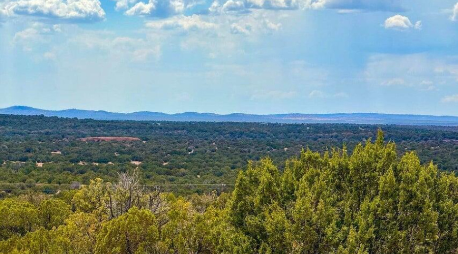 20250829081739489374000000-o (2)