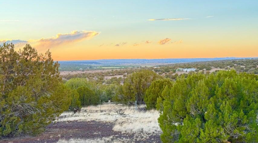 20250924022955553787000000-o (1)