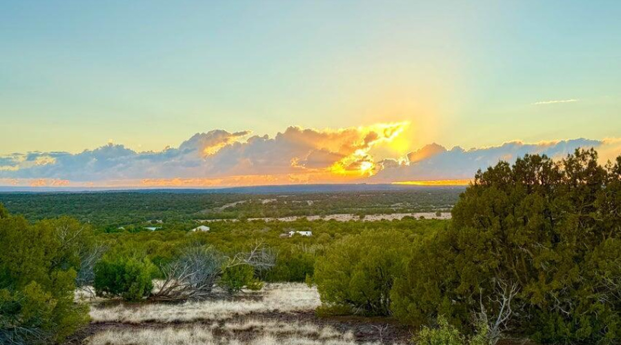 20250924023144701885000000-o (1)