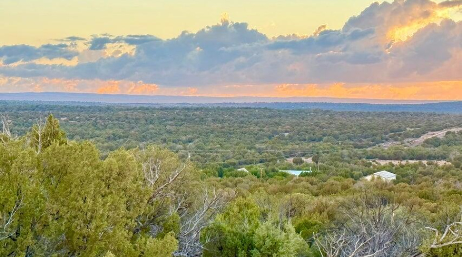 20250924025740161902000000-o (1)