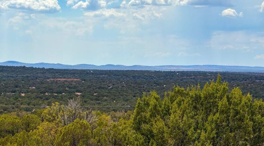 20250829012343583603000000-o (3)