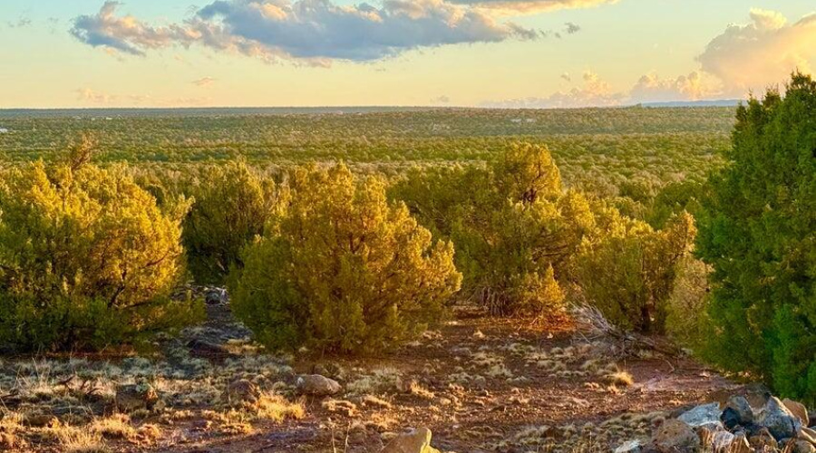 20250924032807187869000000-o (1)