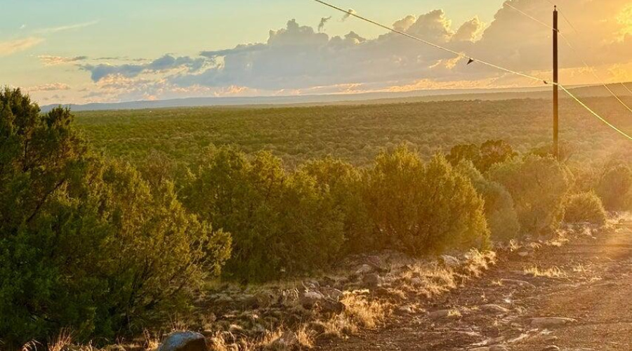 20250924032825957931000000-o (1)