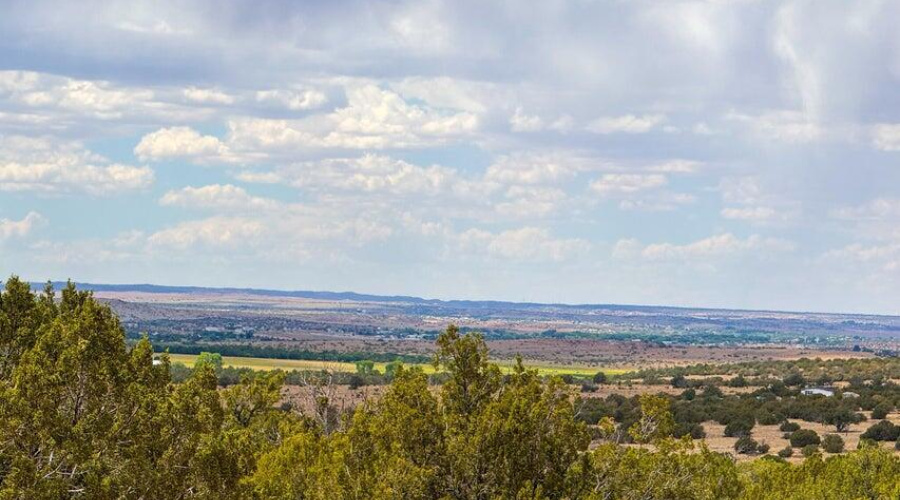 20250829012342510216000000-o (3)