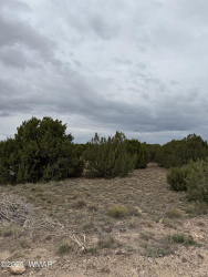 55 County Road, Concho, Arizona 85924, ,Land,For Sale,County,258295