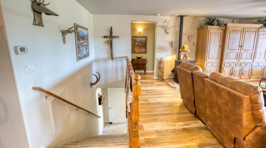 Paxmanphoto_PAX_5532