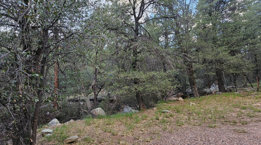 LOTS OF LAND & PARKING!