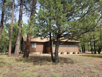 1788 Velvet Antler Trail, Happy Jack, Arizona 86024, Bedrooms, ,Bathrooms,Residential,For Sale,Velvet Antler,92989
