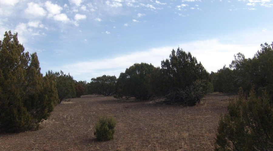 Vacant land for sale White Mountain Lake