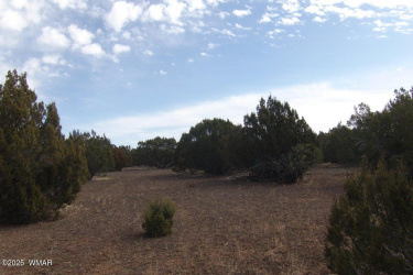 TBD Idlewind Ranch #2 Lot 77A, Show Low, Arizona 85901, ,Land,For Sale,Idlewind Ranch #2 Lot 77A,258300