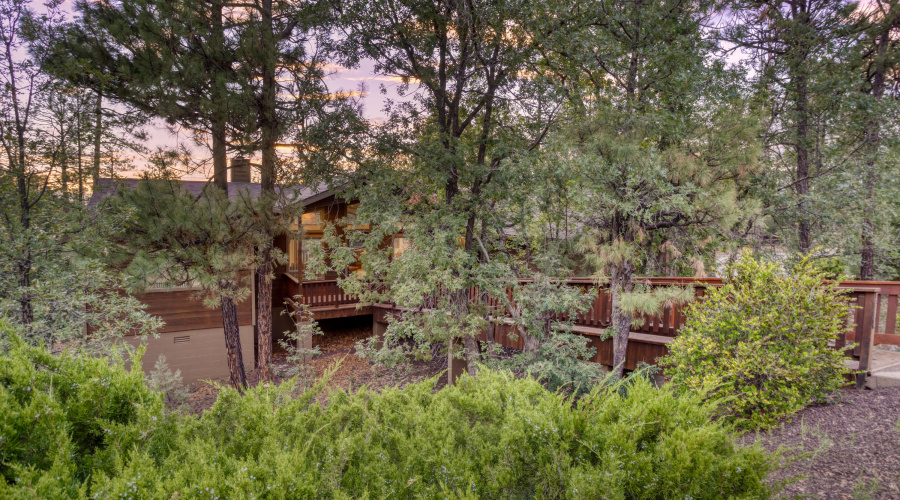 The Woods at Pinetop
