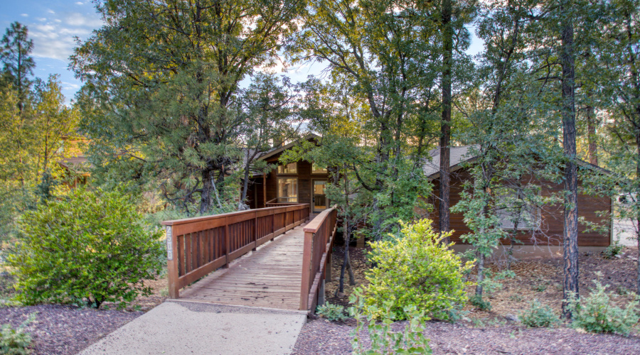 Your Cabin in the Woods!