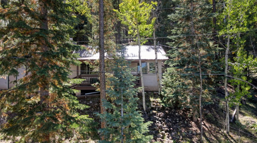 Paxmanphoto_DJI_0201