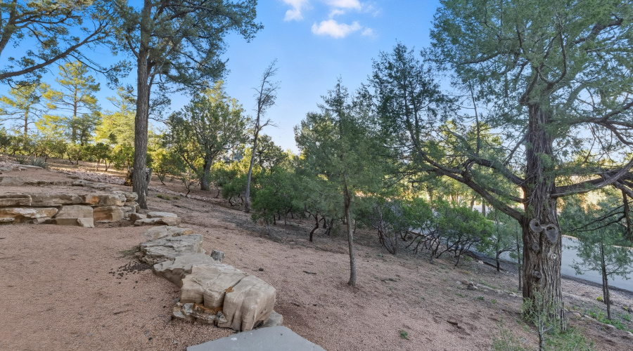 85-print-Grapevinev- Full Res-85