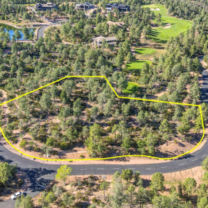 Drone with Property Lines