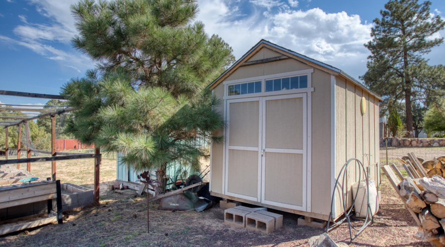 PAXMAN JANET WALKER (32)