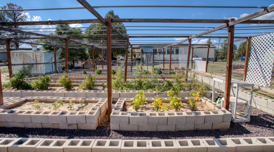 PAXMAN JANET WALKER (29)