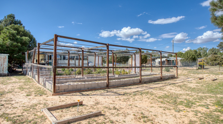 PAXMAN JANET WALKER (31)