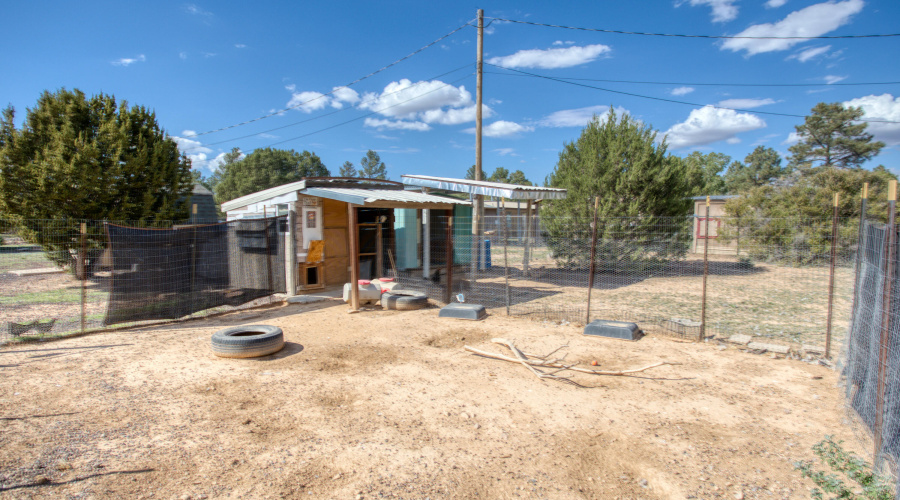 PAXMAN JANET WALKER (28)