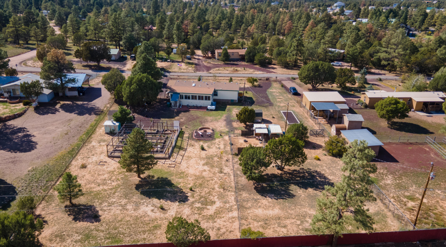 PAXMAN JANET WALKER (2)