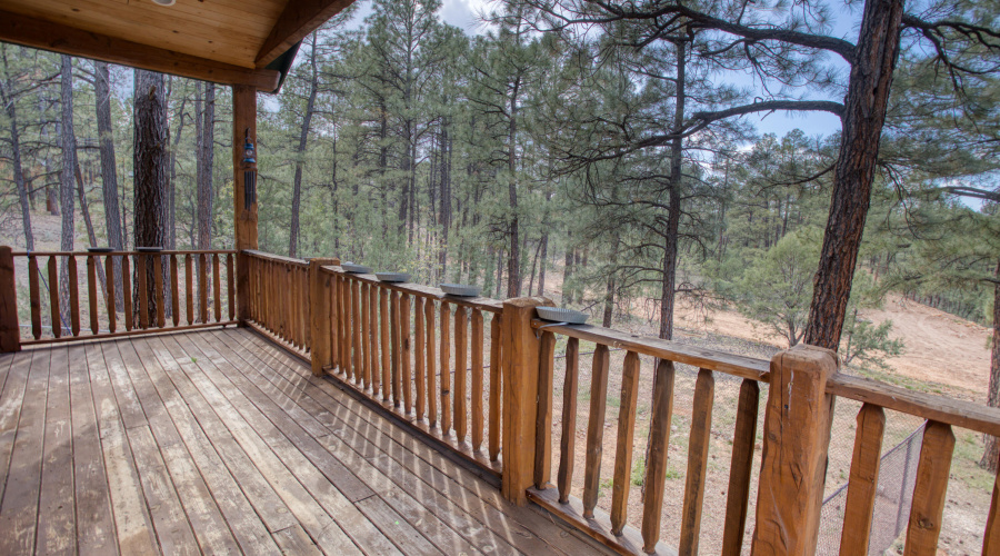 Paxmanphoto_PAX_6715