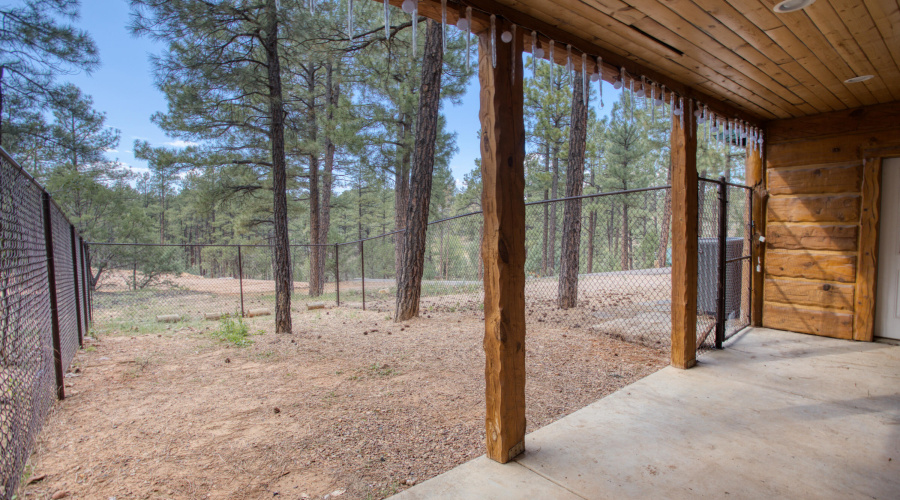 Paxmanphoto_PAX_6710