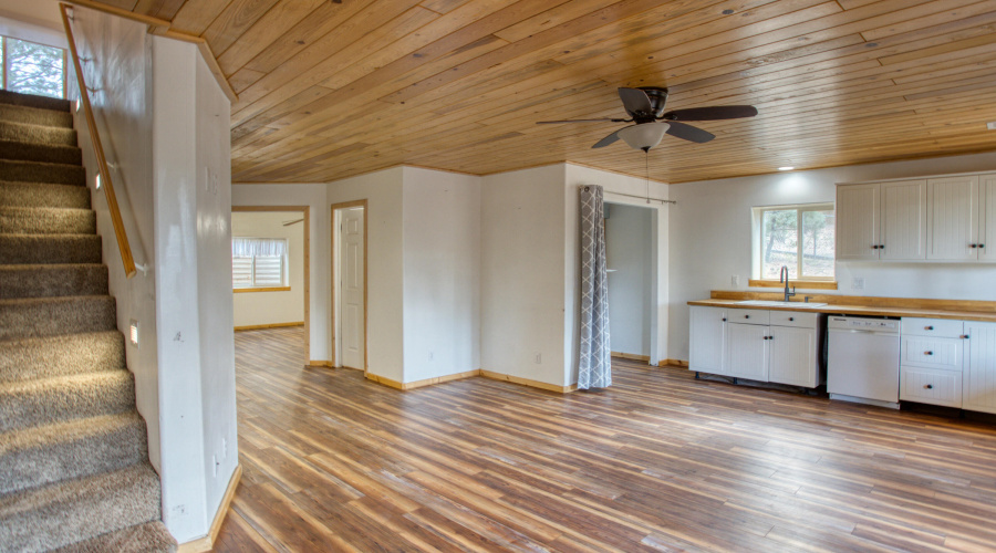 Paxmanphoto_PAX_6701